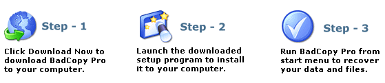BadCopy Pro Download Steps
