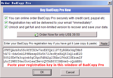 badcopy pro 4.10 key